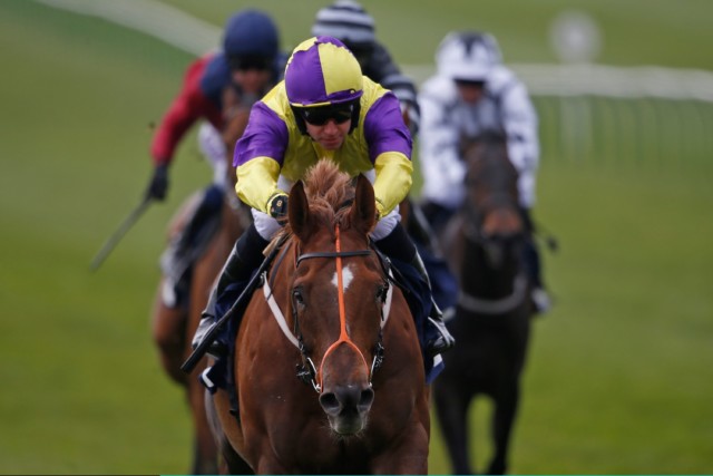 , Top sprinter Brando ‘as well as ever’ as he chases a third win in the Abernant Stakes at Newmarket