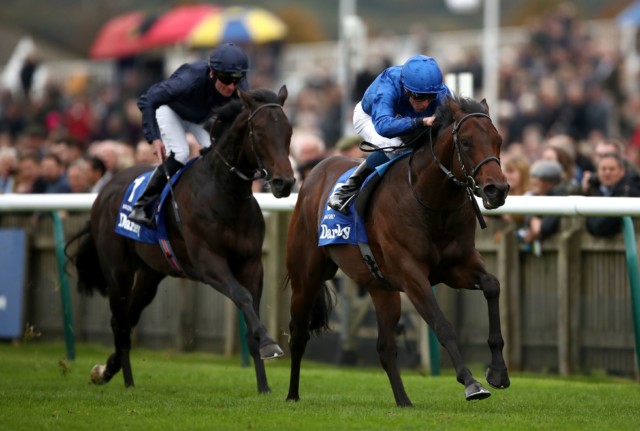 , Unbeaten Pinatubo heads a star-studded field of 15 for Saturday’s 2000 Guineas as Newmarket entries revealed