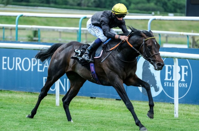 , Lingfield Report: Ed Walker’s English King surges into Derby contention with dominant victory in Lingfield Derby Trial