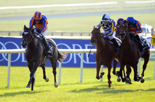 , Curragh Report: Aidan O’Brien does it again as Peaceful backs up the talking with cosy Irish 1000 Guineas win