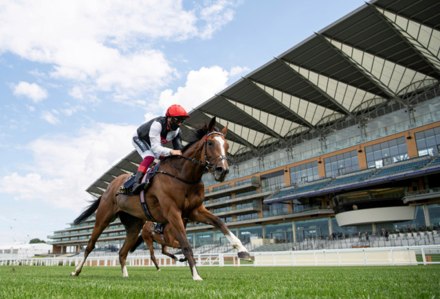 , Royal Ascot review: Frankie Dettori strikes on Frankly Darling in the Ribblesdale to give John Gosden 50 Ascot winners