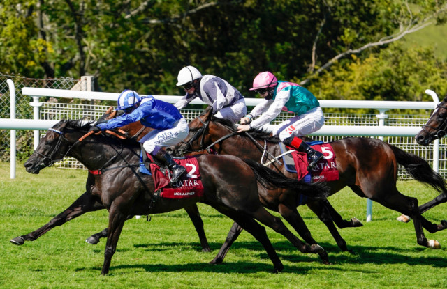 , Sussex Stakes thriller falls to Mohaather who takes Marcus Tregoning back into big time at Glorious Goodwood