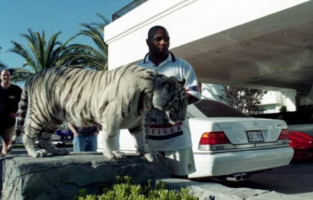 Renowned animal-lover Mike Tyson has kept several exotic tigers as pets