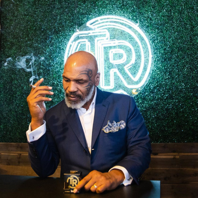 , How Mike Tyson went bankrupt and regained fortune with Hollywood roles and cannabis farm