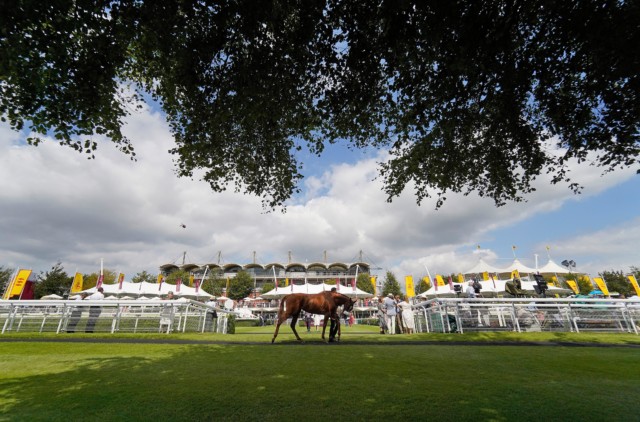 , Today’s full ITV racing results from Goodwood, Newmarket and Windsor