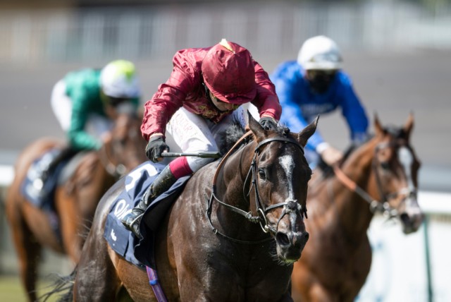 , Palace Pier clash next up in QEII for Kameko as connections eye mile showpiece on QIPCO Champions Day at Ascot