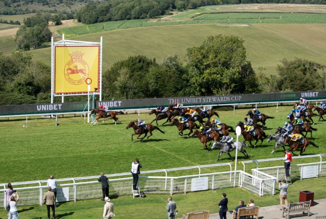 , Summerghand makes up for string of near misses to win the Stewards’ Cup at Goodwood