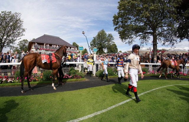 , York Ebor Festival: The stars, horses and big race clashes to look out for on the Knavesmire next week