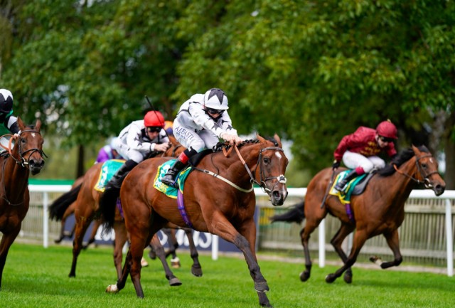 , Unbeaten Dandalla and Ayr winner Umm Kulthum could clash in Cheveley Park – Newmarket runners, odds and latest
