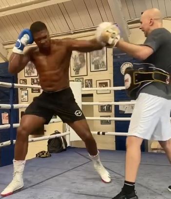 , Watch Anthony Joshua show off explosive power in training as he bulks up for Kubrat Pulev fight
