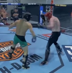 , Watch Conor McGregor in stunning sparring videos as UFC legend shows off impressive boxing skills