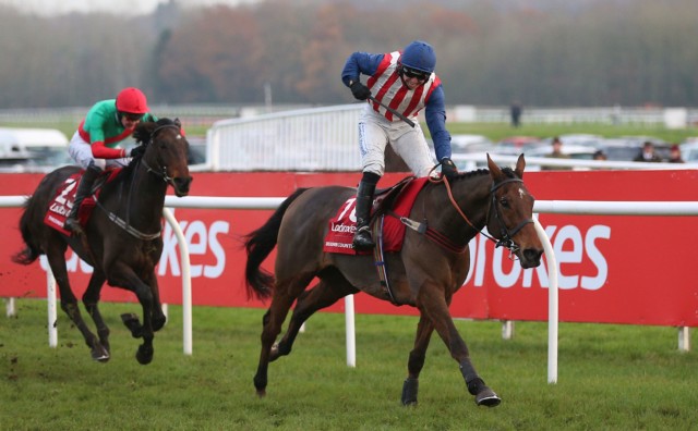 , Top staying hurdler Paisley Park to return to action at Newbury next month