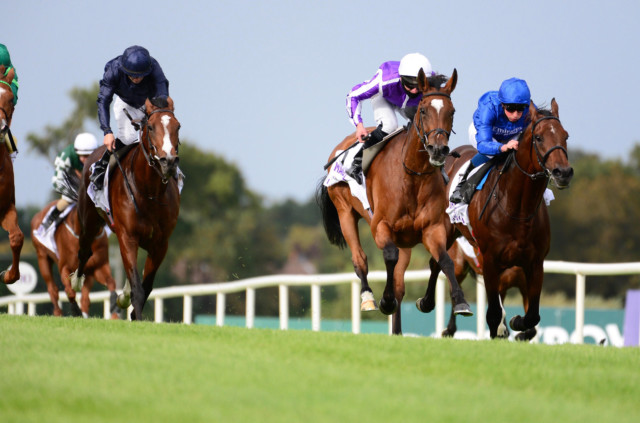 , Get Magical to win Champion Stakes at 50/1 on Saturday