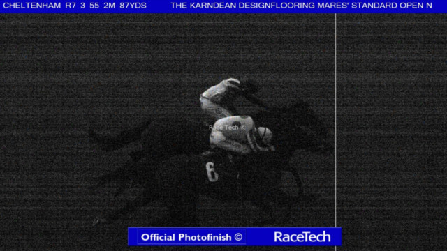 , Punters left in the dark as final Cheltenham race deemed dead-heat despite photo finish suggesting otherwise