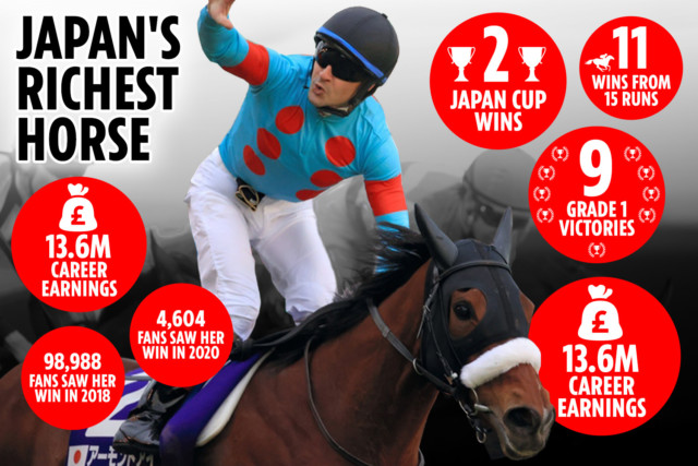 , Record-breaking Almond Eye retires as highest-earning Japanese horse ever after winning almost £1million per RACE