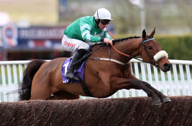 , Presenting Percy cut for Gold Cup and Grand National after impressive Thurles Boomerang Chase win for Gordon Elliott