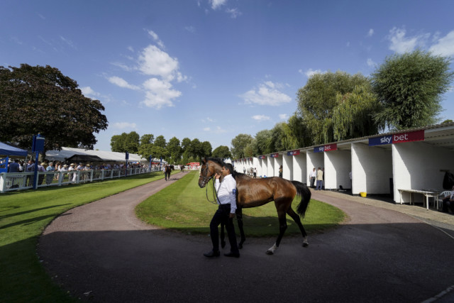 , Five ‘small’ racecourses you have to visit in Britain