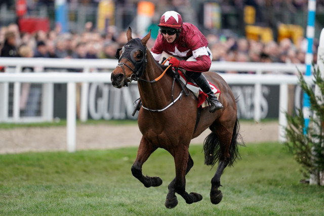 , Grand National hero Tiger Roll and French heavyweight Easysland set for Cheltenham clash this weekend in cross-country