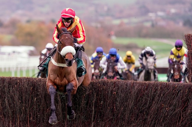 , Coole Cody halves in price from 20-1 into 10-1 to land a serious gamble in Paddy Power Gold Cup at Cheltenham