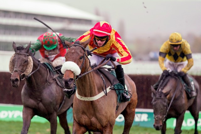 , Punters left in the dark as final Cheltenham race deemed dead-heat despite photo finish suggesting otherwise
