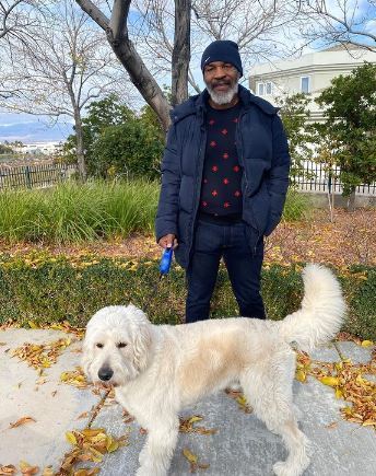 , Mike Tyson feeds his dog Roy Jones Jr cake as Thanksgiving treat with legends set to fight
