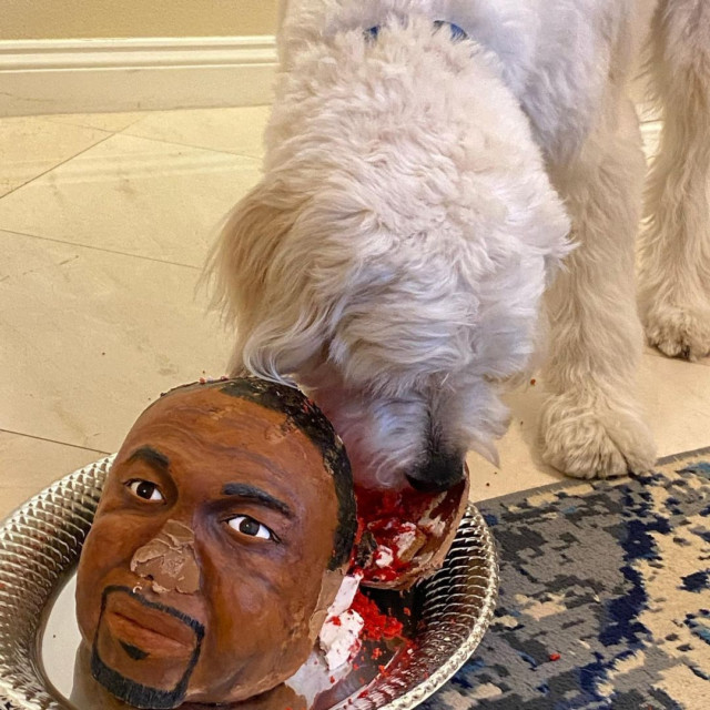 , Mike Tyson feeds his dog Roy Jones Jr cake as Thanksgiving treat with legends set to fight