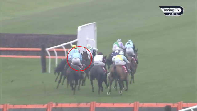 , Watch jockey Harry Cobden suffer horror fall UNDERNEATH charging horses in nasty incident at Newbury racecourse
