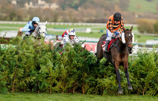 , Kingswell Theatre shock 22-1 winner of Cross Country as Tiger Roll and Easysland both stuffed at Cheltenham