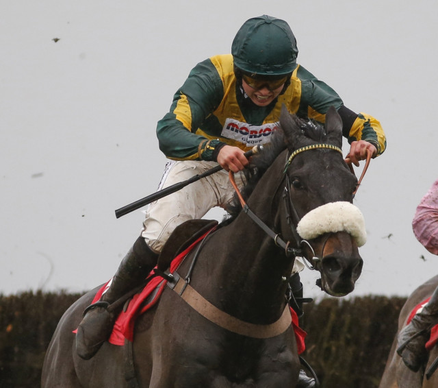 , Trainer Paul Nicholls eyes up another Badger Beers success at Wincanton a year after winning the big one for Sir Alex
