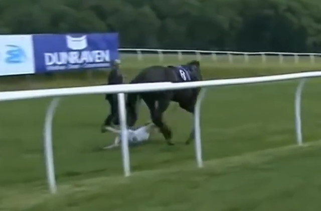 , Watch dramatic moment TV host Hayley Moore is sent flying by loose horse before stopping it as she recalls ‘crazy’ clip