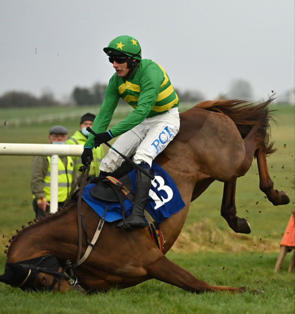 , Amazing photos show crunching fall at Thurles which both horse and jockey miraculously escaped unhurt