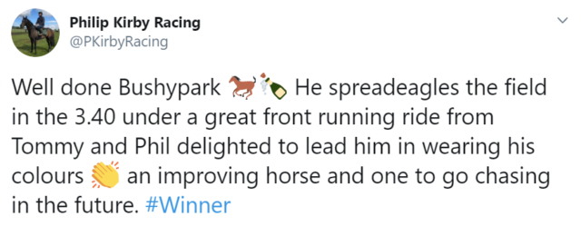 , Racing chiefs urged to investigate ‘monster gamble’ as 16-1 horse Bushypark wins after being backed into 7-4 favourite