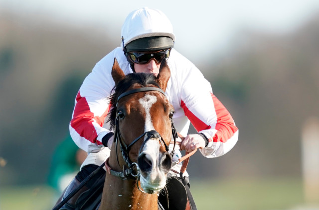, Goshen set for long-awaited reappearance at Cheltenham next week after ‘moderate scope’ ruled him out of Epatante clash