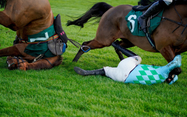 , Jockey Gina Andrews rushed to hospital after being kicked in face by horse during fall at Cheltenham