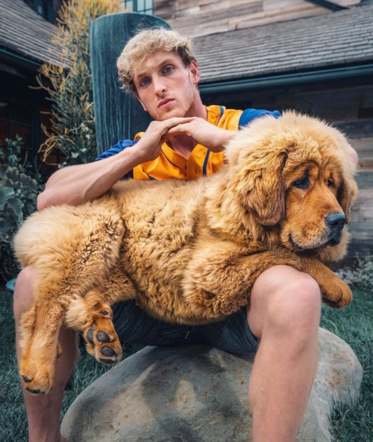 , Logan Paul’s amazing homes includes drug guru Timothy Leary’s desert ranch and a stunning £5m LA mansion