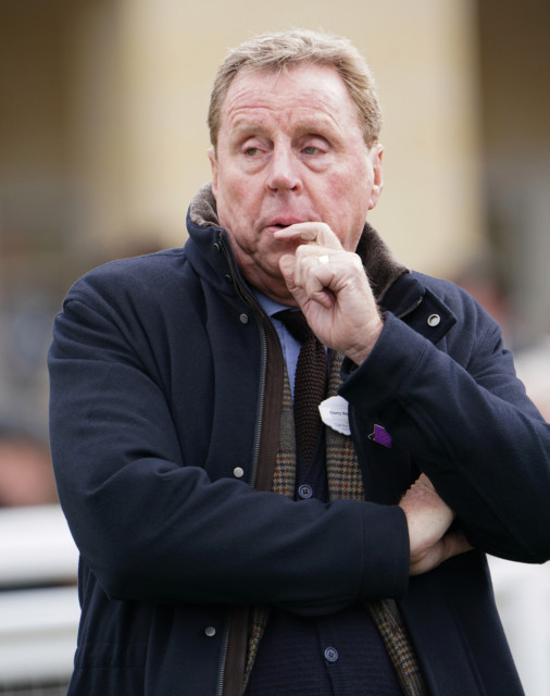 , Tragedy for Harry Redknapp as his racehorse Fortune Finder suffers fatal injury at Lingfield Park under Ryan Moore