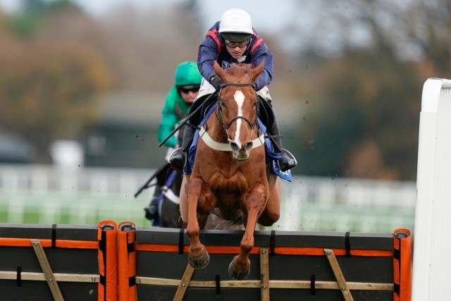 , Song For Someone to test Champion Hurdle credentials in the International at Cheltenham on Saturday