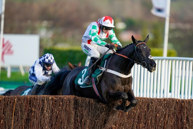 , Mister Fisher impresses in Peterborough Chase at Cheltenham while quirky Storm Control continues progress