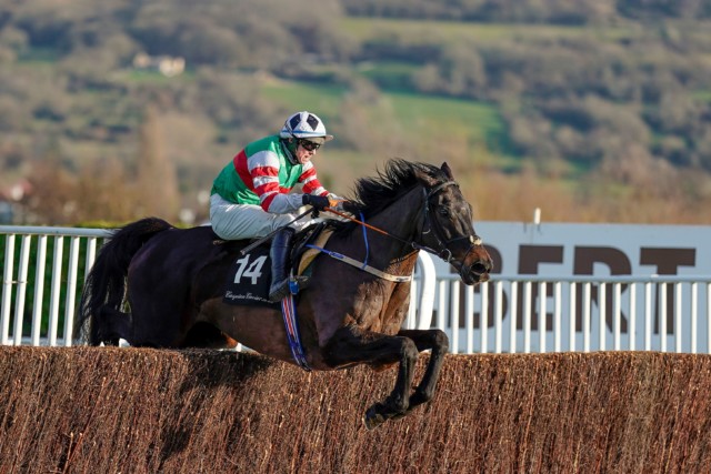 , Mick Winters and Chatham Street Lad light up Cheltenham while Song For Someone takes advantage of Goshen flop