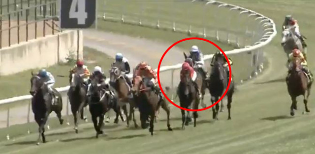 , Watch horse ‘going nowhere’ blitz through rivals to win ‘remarkable’ debut race by just 0.02 lengths in photo finish