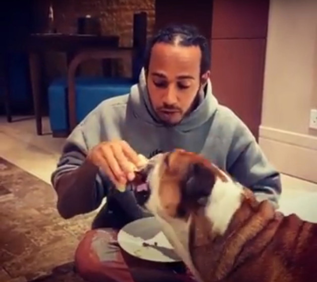 , Lewis Hamilton scoffs cake with his beloved pet dog Roscoe as Mercedes F1 legend says ‘we best friendz’