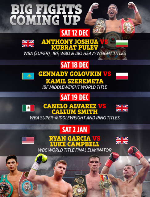 , Boxing schedule: Fight dates, undercards, results as Joshua readies to face Pulev and Canelo takes on Smith this month