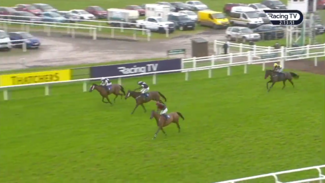 , Watch dramatic finish at Taunton as 9-2 shot Oski veers across the track with to throw away win with race at his mercy