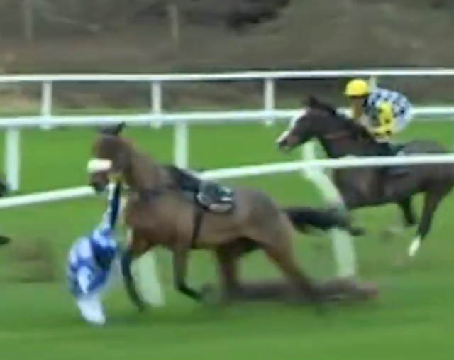 , Brutal moment jockey David Bass gets stamped by horse after crashing through running rail in calamitous Newbury fall