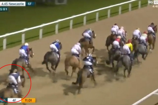 , Racing fans blown away as ‘big gamble’ horse slashed from 16-1 to 4-1 comes from dead last to win easily at Newcastle