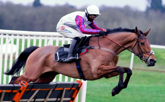 , Bravemansgame dominates Challow at Newbury to live up to Denman hype as Paul Nicholls eyes Ballymore at Cheltenham