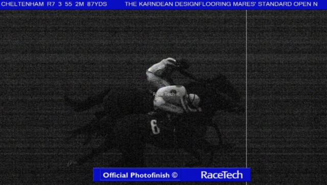 , Punters rage at ‘joke’ dead-heat photo finish as they claim it shows 28-1 outsider beating 5-4 favourite at Taunton