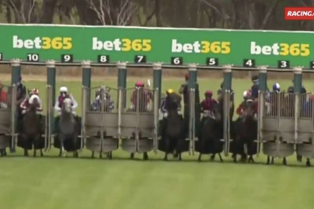 , Race abandoned after 200-1 shot wins following gate malfunction that leaves horses and jockeys trapped in stalls