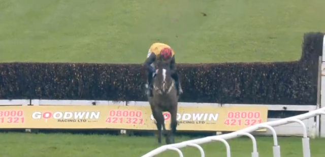 , Watch dramatic fall at FIRST fence of two-horse race leaving other to go round totally uncontested in Plumpton walkover