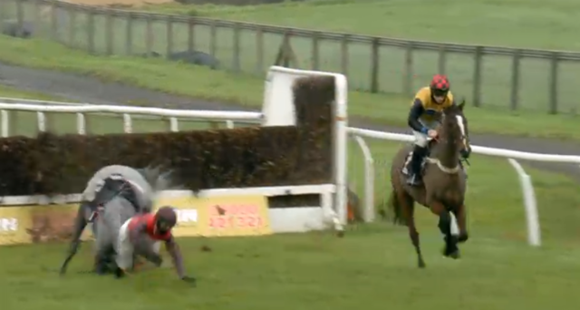 , Watch dramatic fall at FIRST fence of two-horse race leaving other to go round totally uncontested in Plumpton walkover